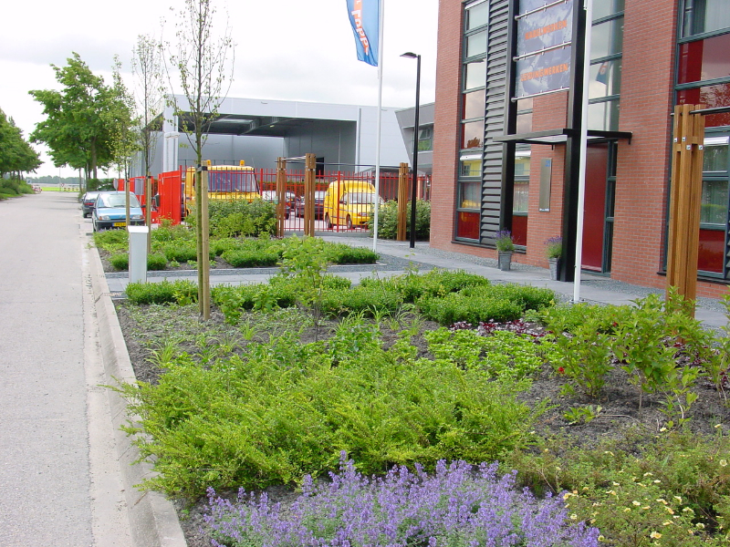 Droom Tuin Aanleg Zoeterwoude