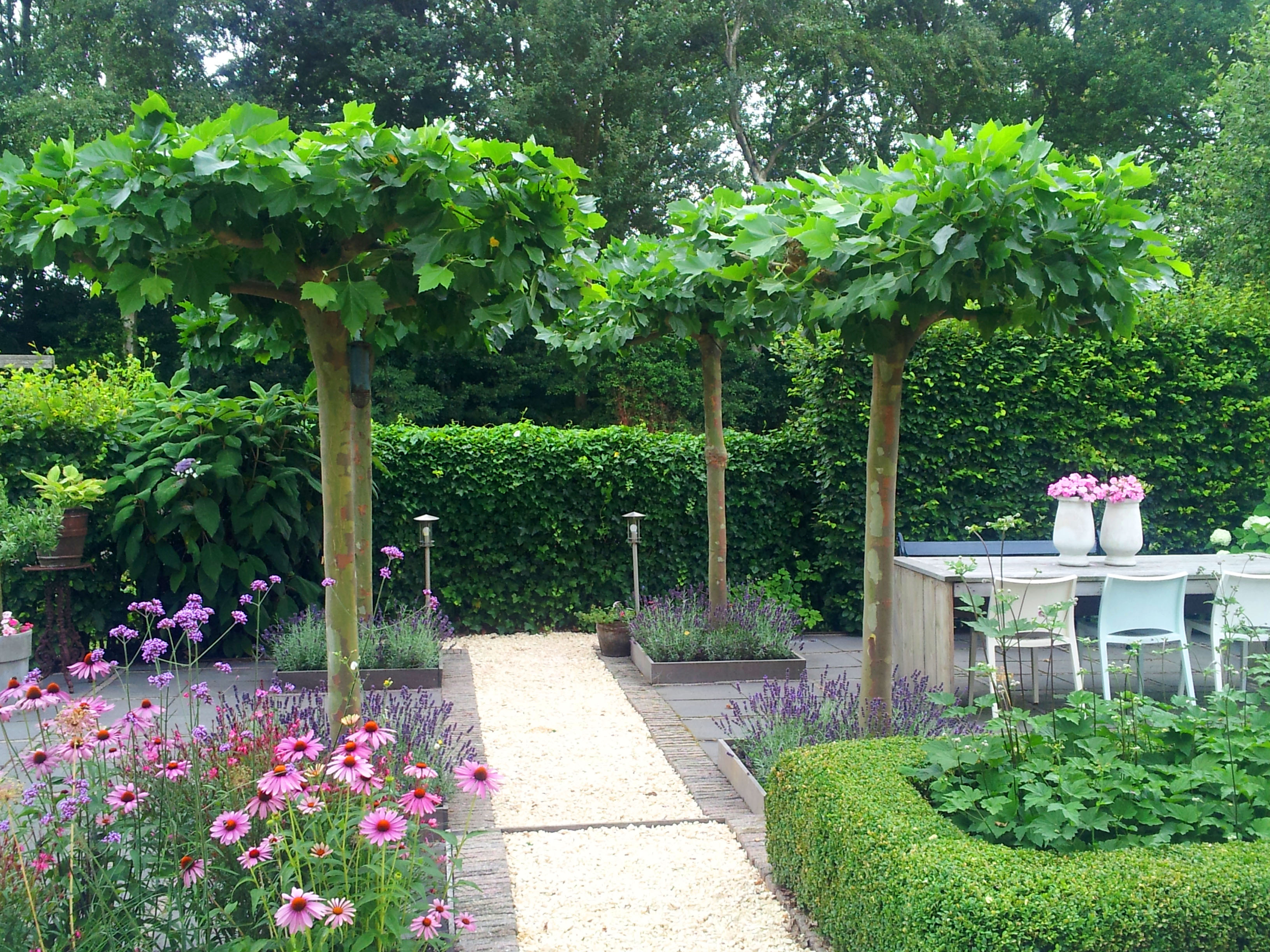 Groene tuin met pad en volwassen beplanting