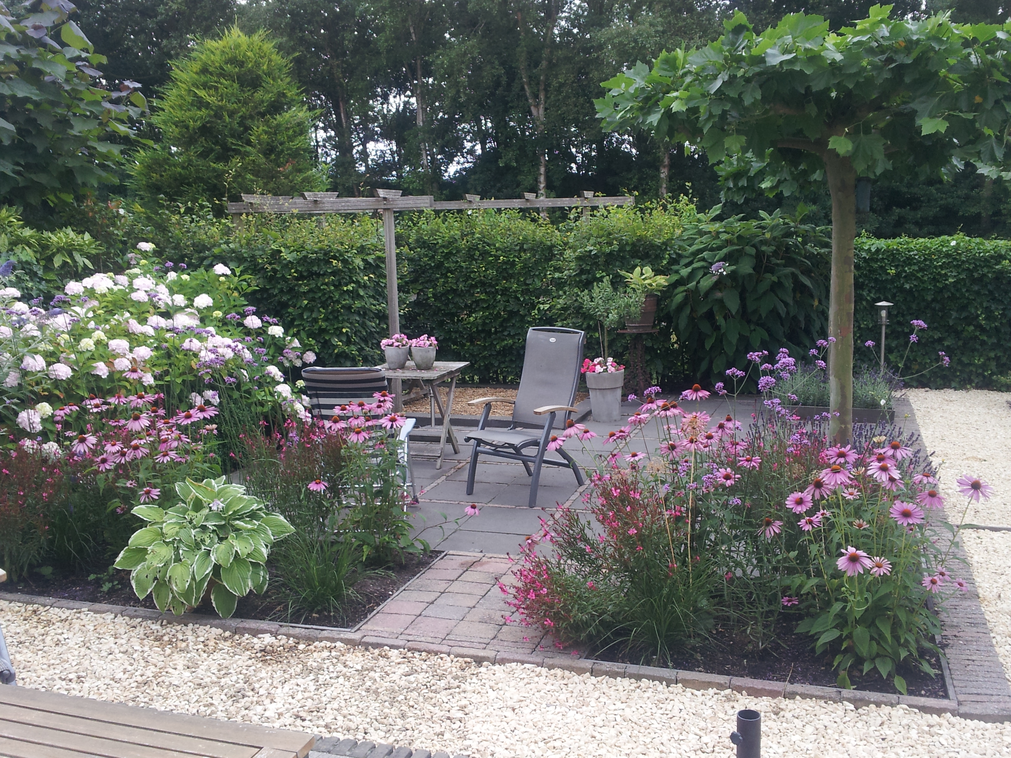 Hulp en advies beplanting tuin