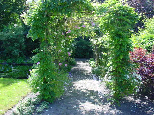 Tuin beplanten