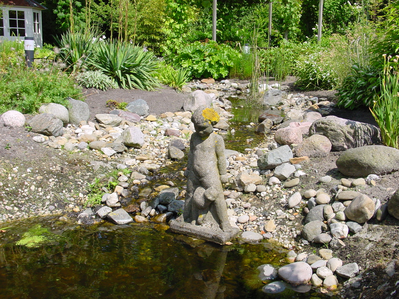 Tuin beplanting
