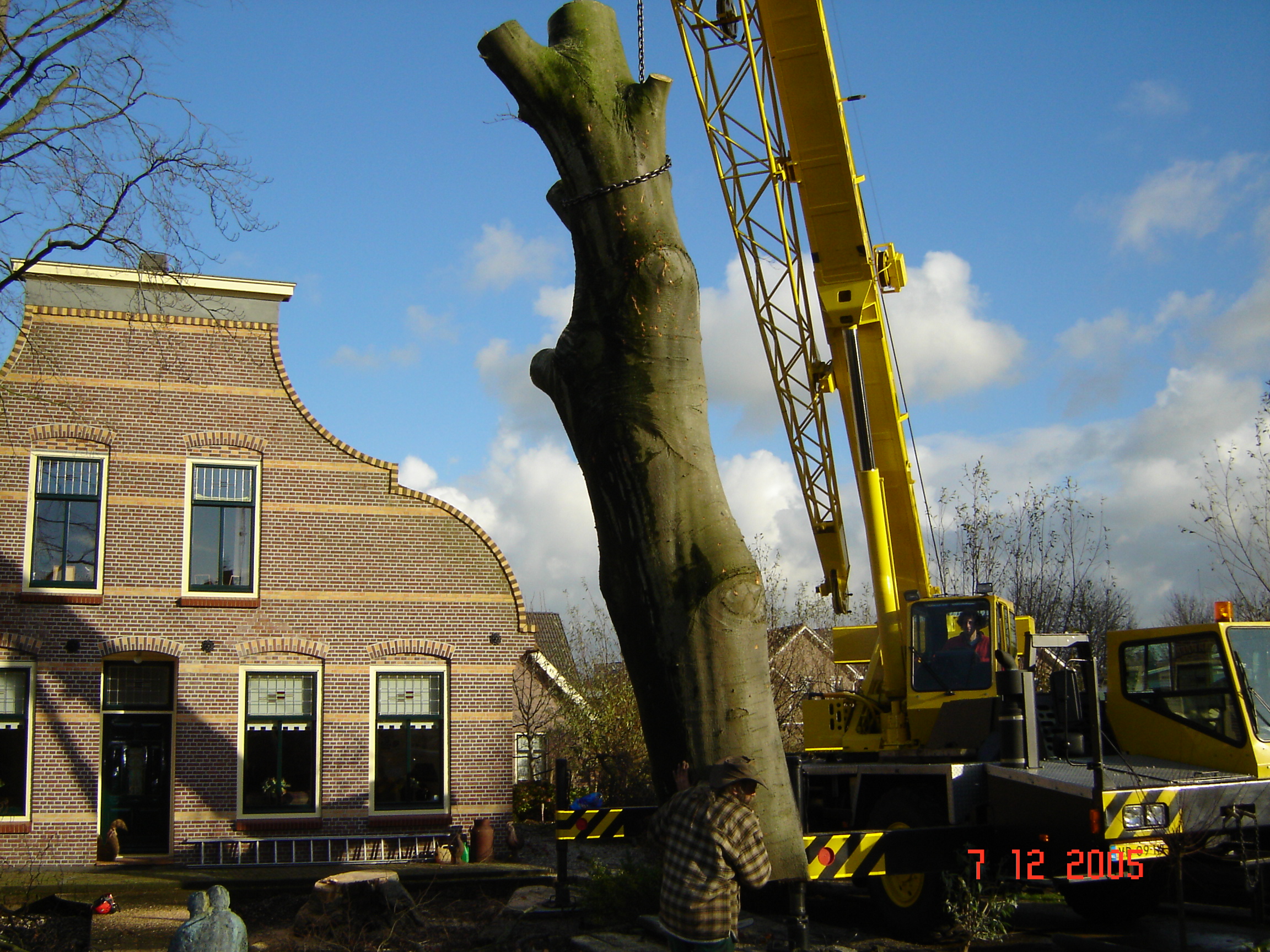 Boom snoeien