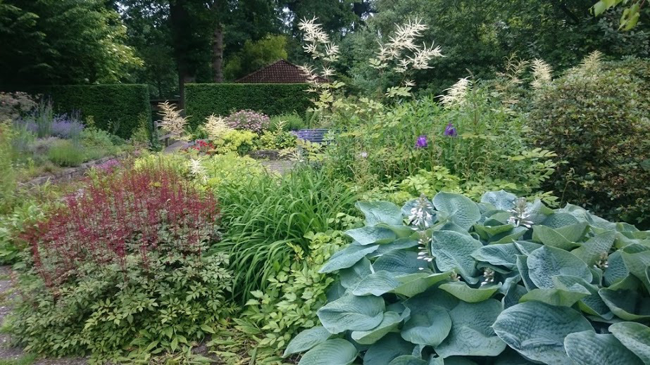 Droomtuin Hovenier Zoeterwoude
