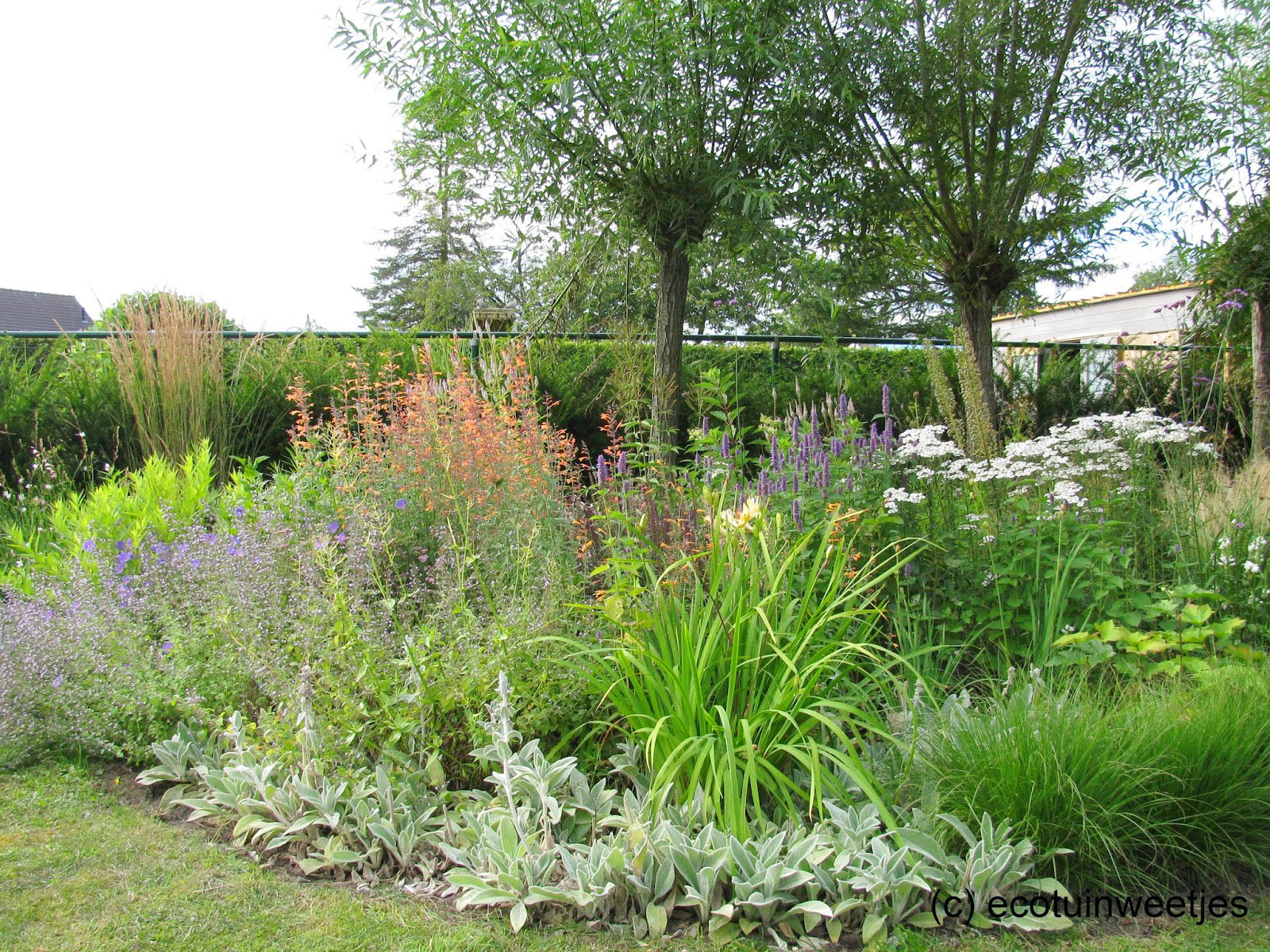 tuinplan balans hovenier