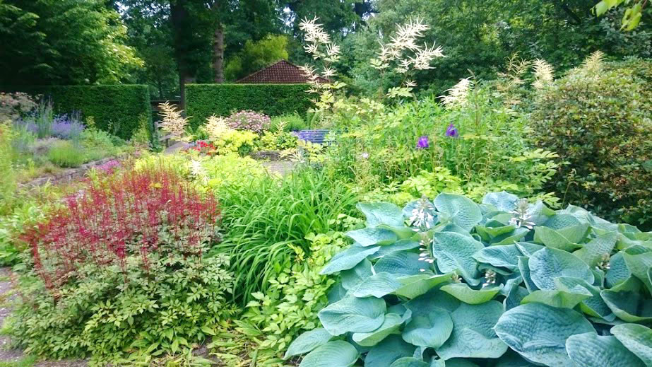 Voorbeeld tuin in balans