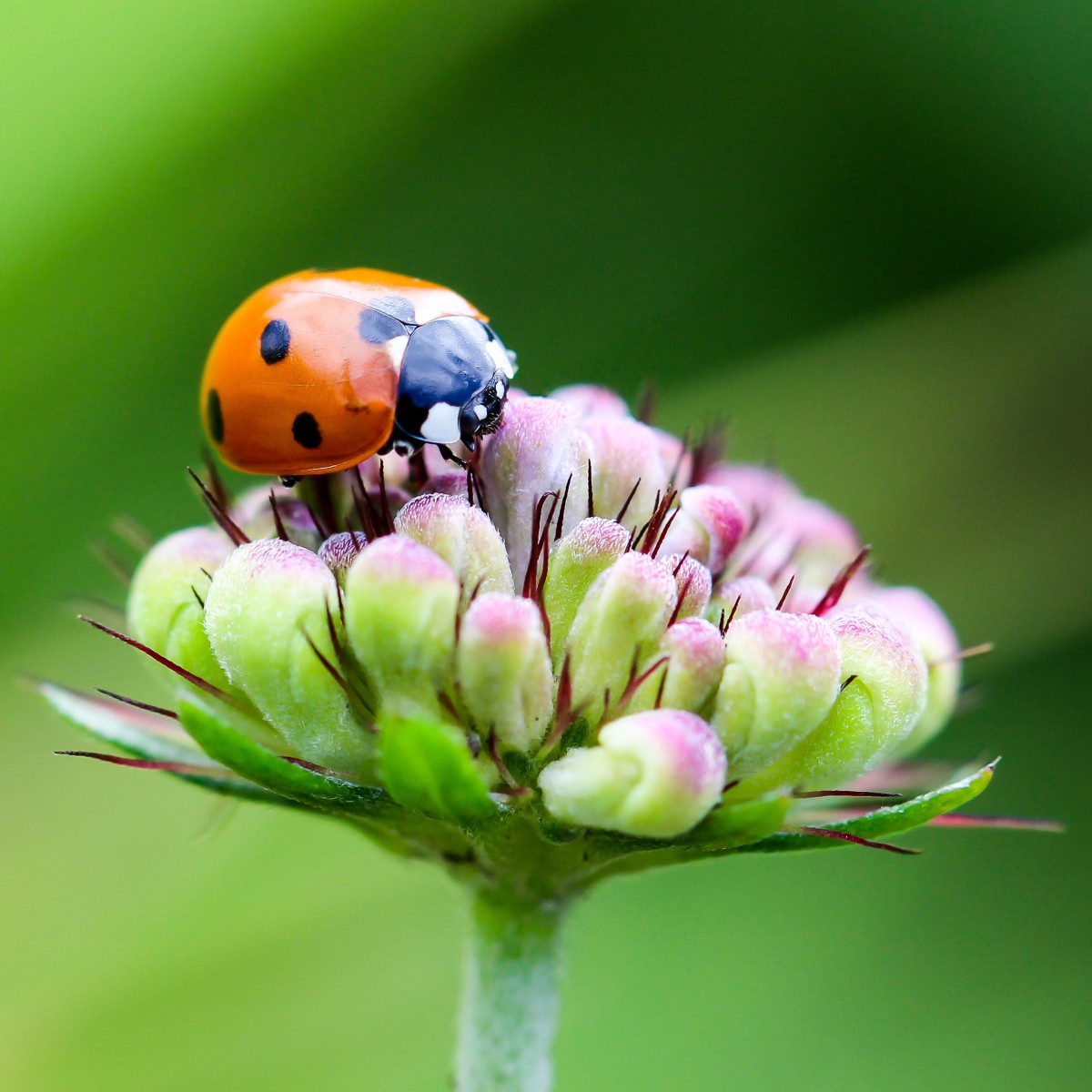Tuin in balans onderhoud