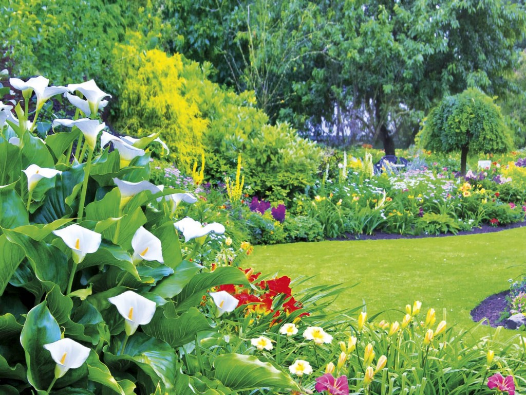Tuinonderhoud met gazon