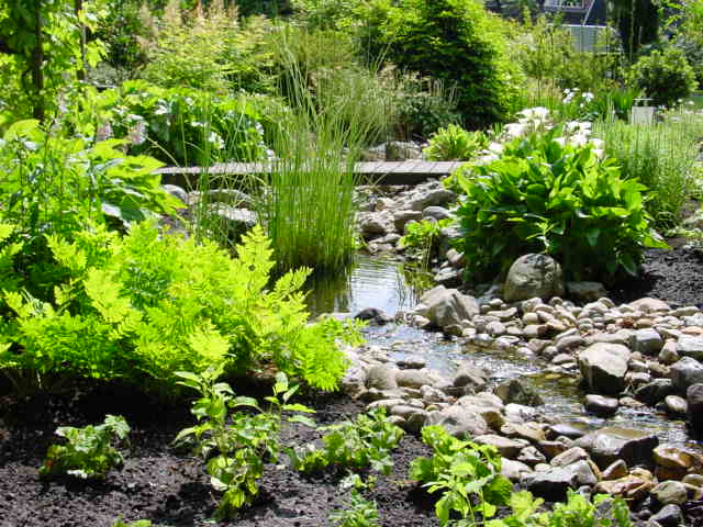 Hovenier droomtuin aanleg