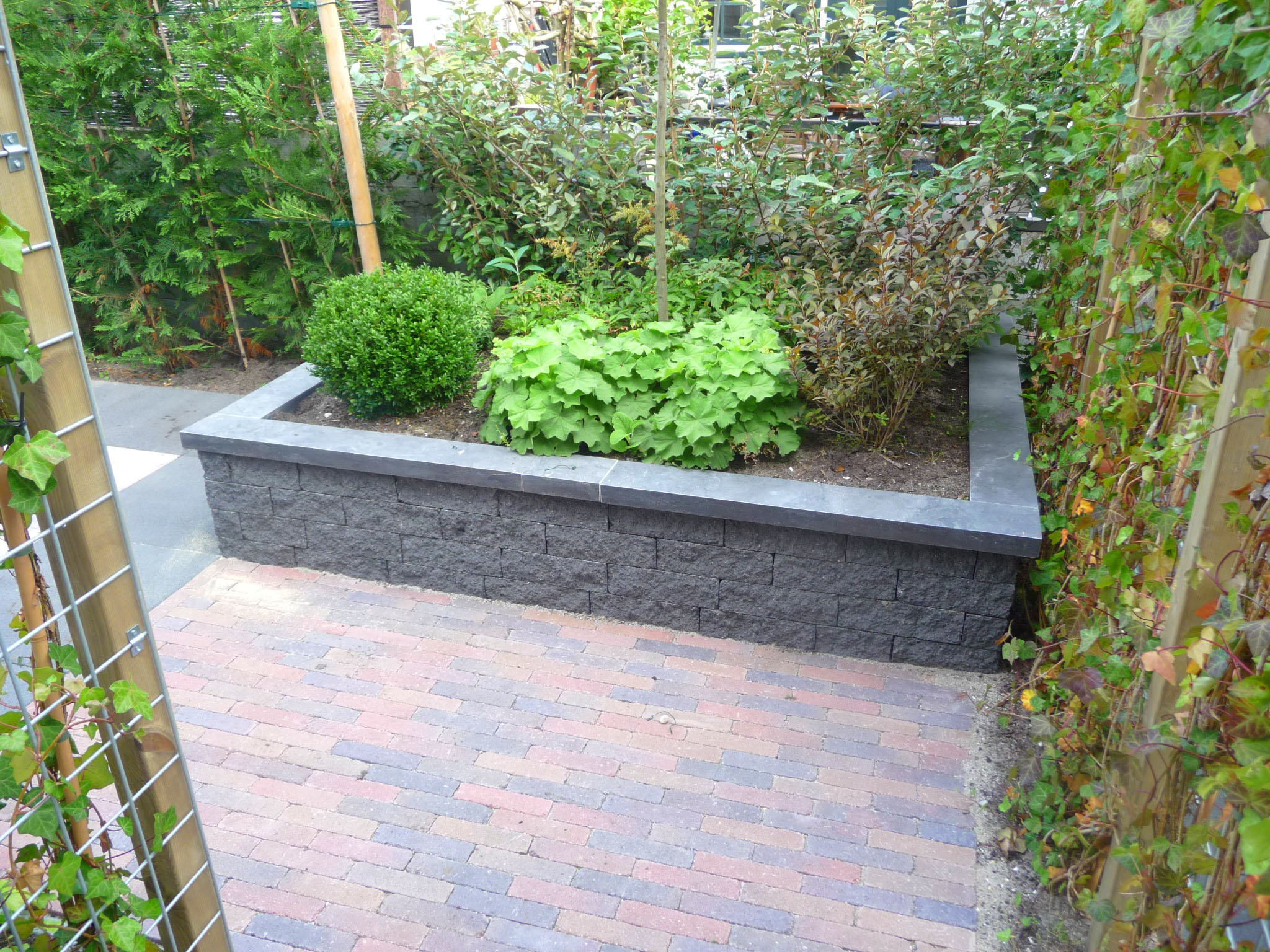 Hovenier aanleg droomtuin