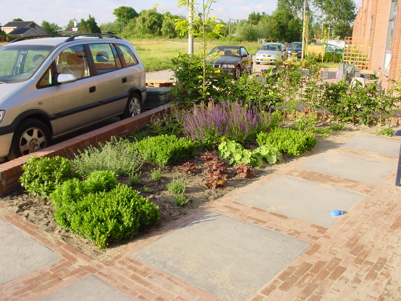 Beplanting tuinaanleg